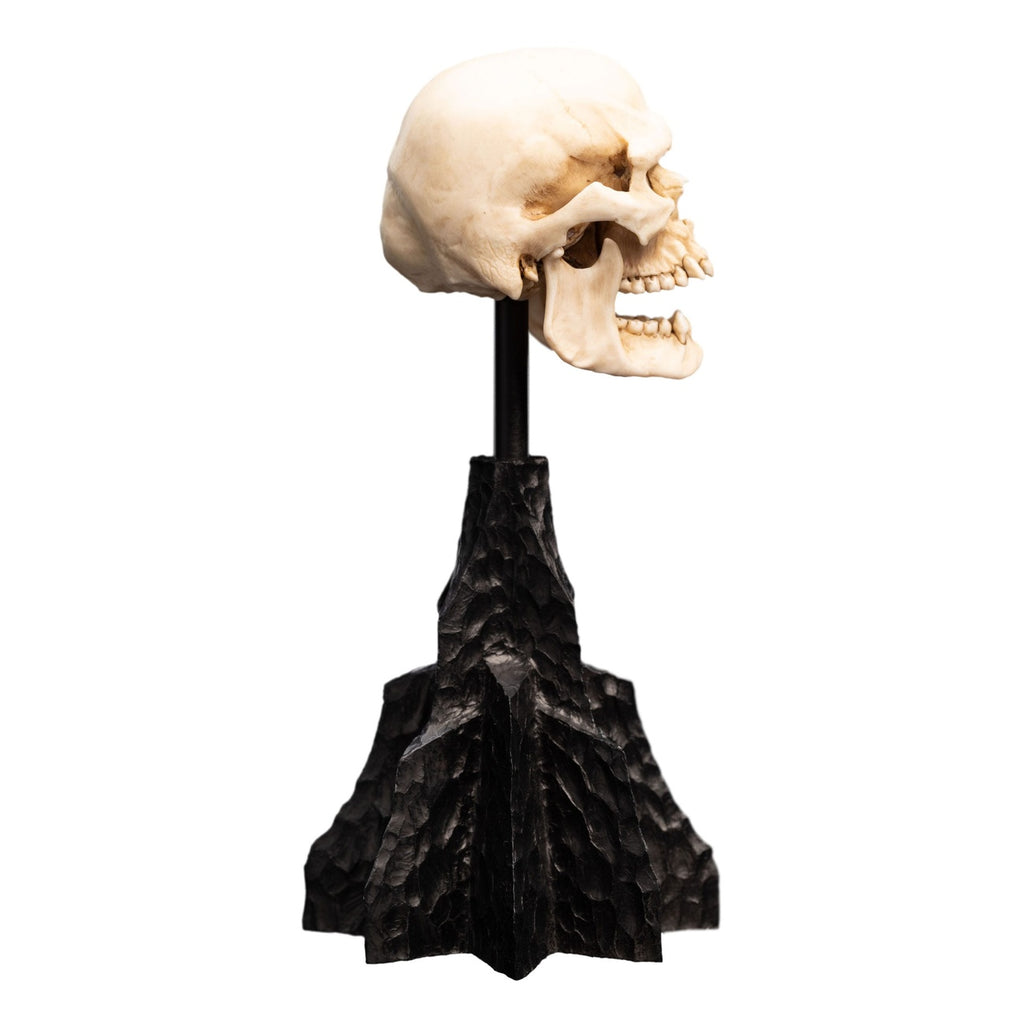 Product image The Lord of the Rings - Skull of a Mordor Orc Mini Statue