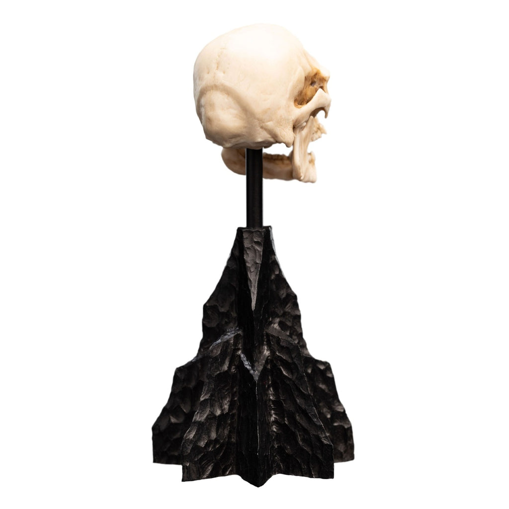 Product image The Lord of the Rings - Skull of a Mordor Orc Mini Statue