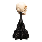 Product image The Lord of the Rings - Skull of a Mordor Orc Mini Statue