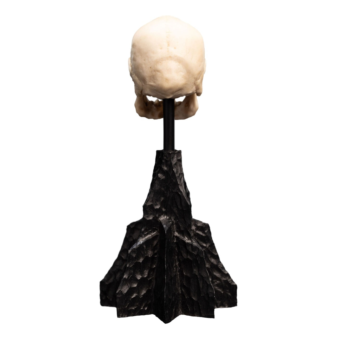 Product image The Lord of the Rings - Skull of a Mordor Orc Mini Statue