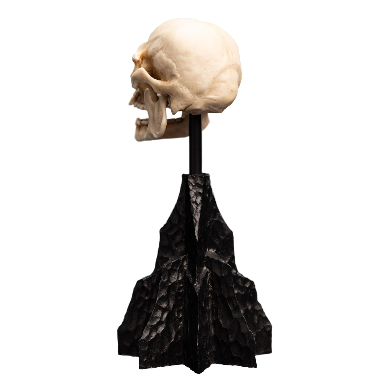 Product image The Lord of the Rings - Skull of a Mordor Orc Mini Statue