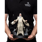 Zdjęcie produktu Władca Pierścieni - Figurka Saruman Biały