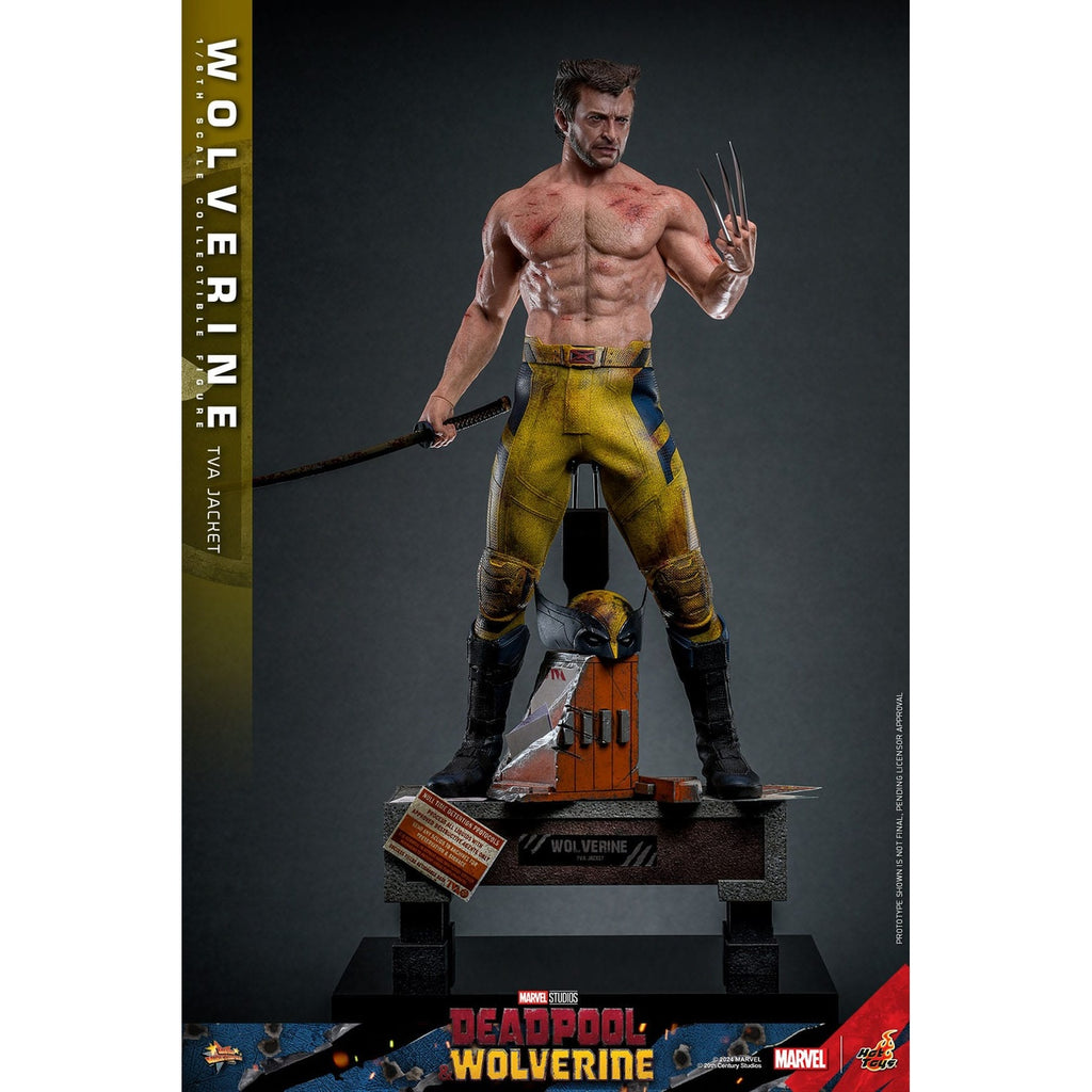 Zdjęcie produktu Deadpool & Wolverine Movie Masterpiece figurka akcji 1/6 Wolverine (wersja z kurtką TVA) 31 cm