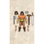 Zdjęcie produktu Conan Barbarzyńca Figurka Ultimates Conan the Barbarian 18 cm