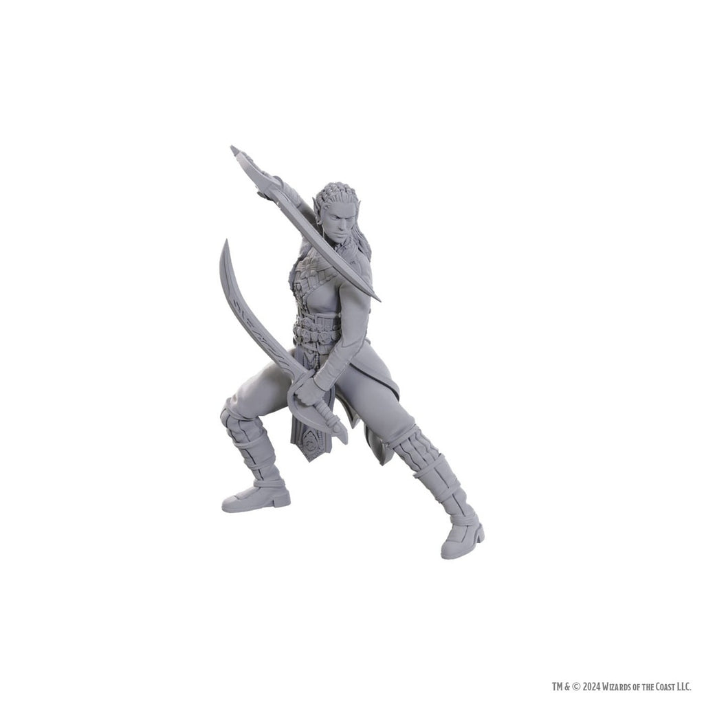 Product image D&D Nolzur's Marvelous Miniatures Unpainted Miniatures Jaheira & Halsin