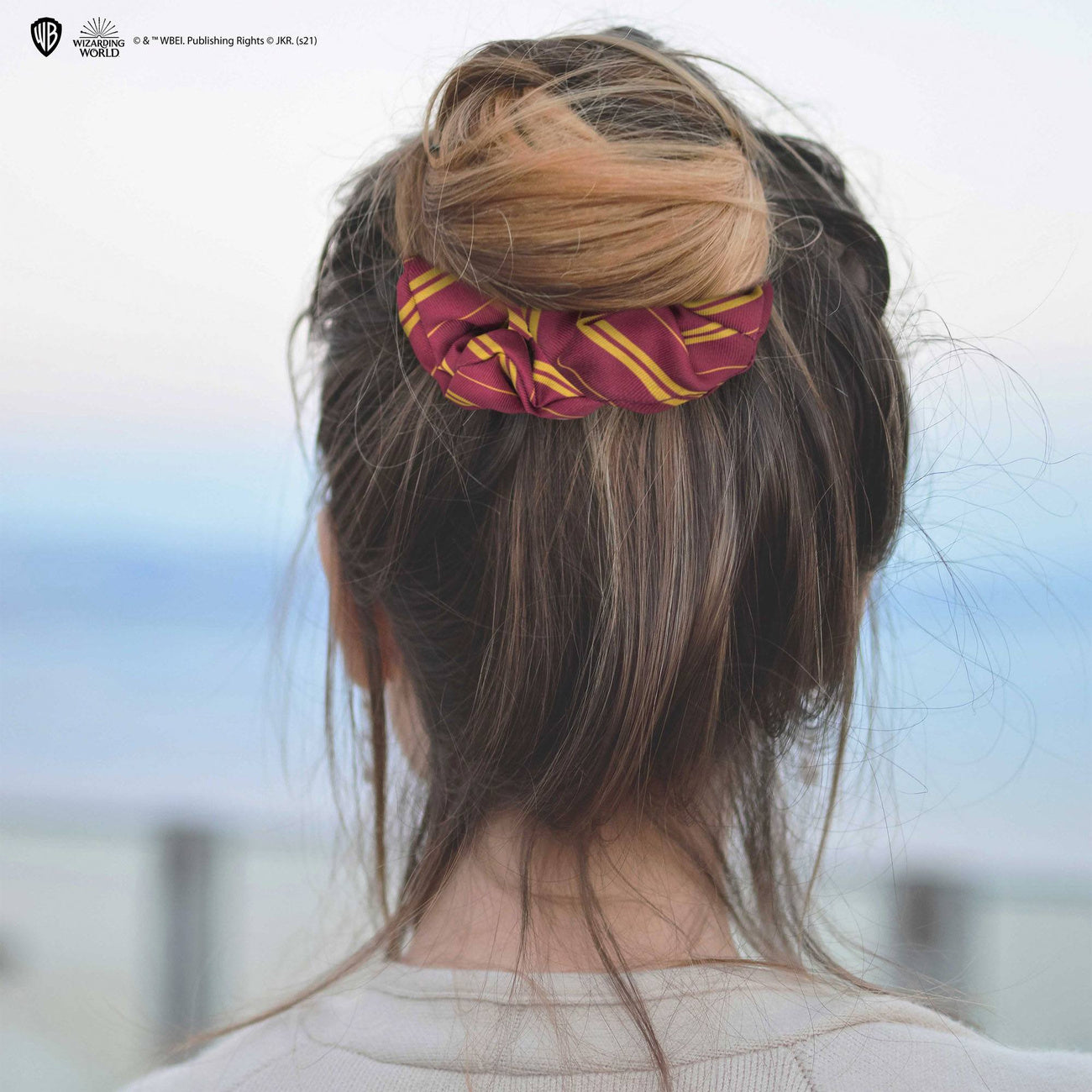 Product image Harry Potter Classic Hair Accessories 2-Pack Gryffindor