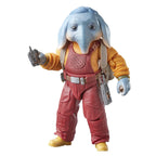Zdjęcie produktu Star Wars: Skeleton Crew figurka Black Series Neel (At Attin) 15 cm