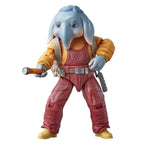 Zdjęcie produktu Star Wars: Skeleton Crew figurka Black Series Neel (At Attin) 15 cm