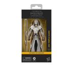 Zdjęcie produktu Star Wars: The Clone Wars Black Series figurka akcji Jedi Temple Guard 15 cm