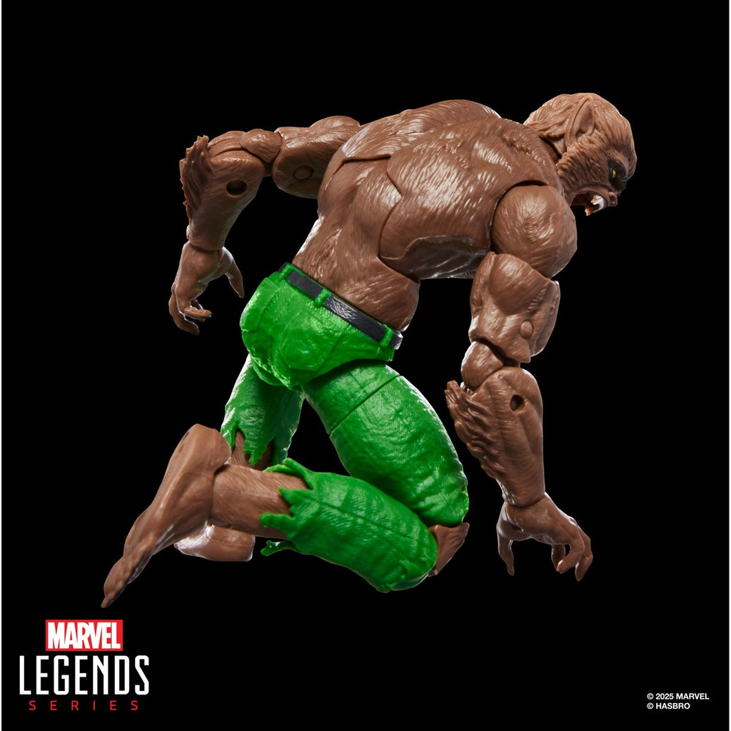 Zdjęcie produktu Figurka Marvel Legends Werewolf by Night (BAF: Executioner) 15 cm
