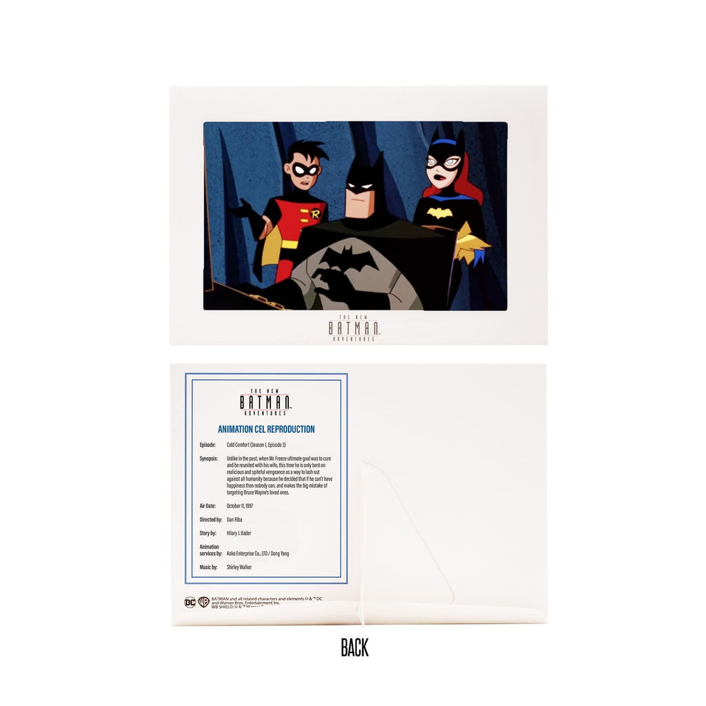 Product image The New Batman Adventure DC Direct 1/6 Action Figure Batman (Silver) 15 cm