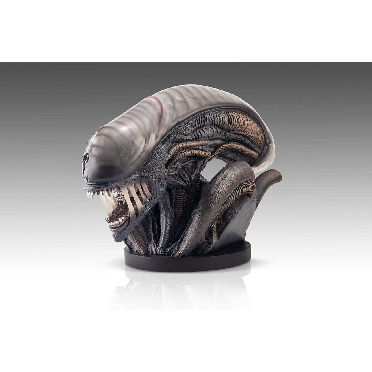 Zdjęcie produktu Alien Romulus Popiersie 1/1 Ksenomorf 53 cm