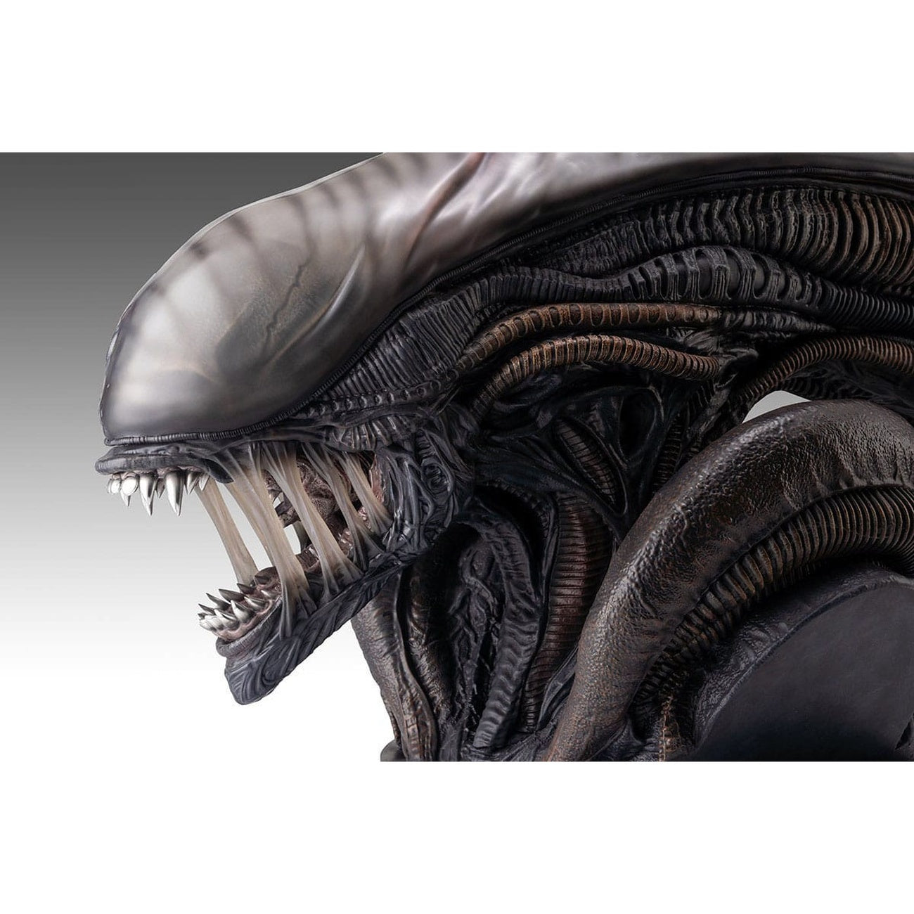 Zdjęcie produktu Alien Romulus Popiersie 1/1 Ksenomorf 53 cm