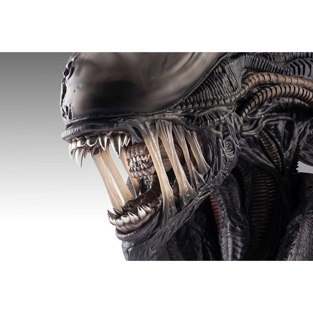 Zdjęcie produktu Alien Romulus Popiersie 1/1 Ksenomorf 53 cm