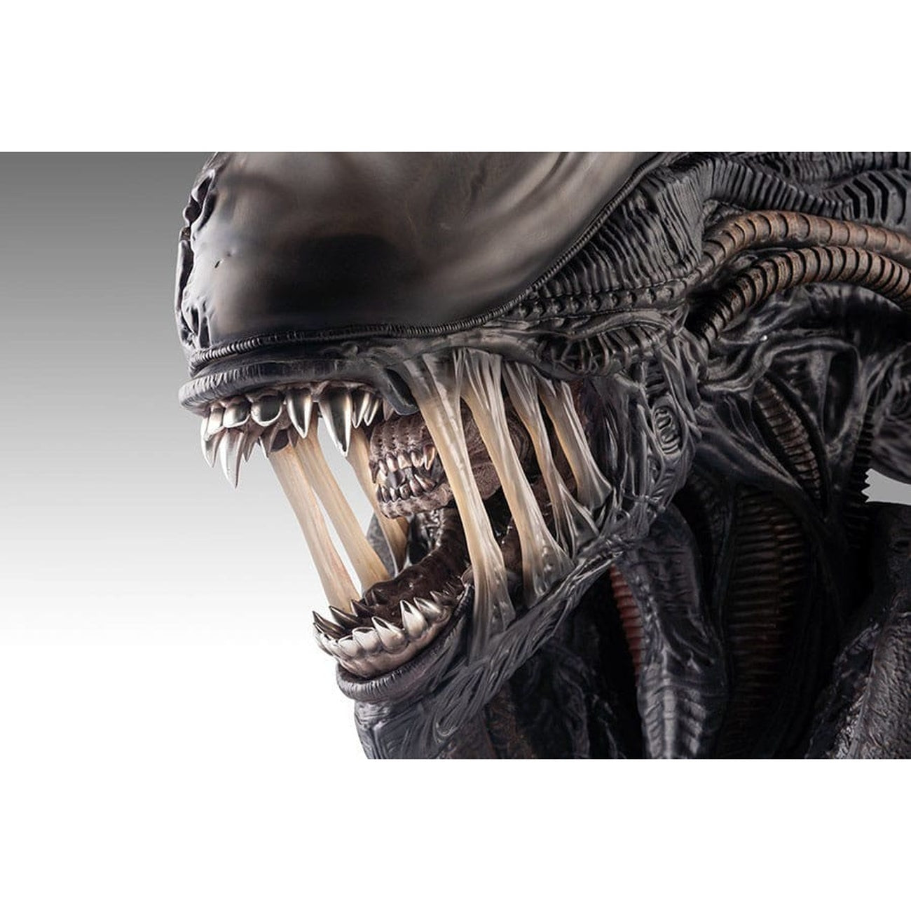 Zdjęcie produktu Alien Romulus Popiersie 1/1 Ksenomorf 53 cm
