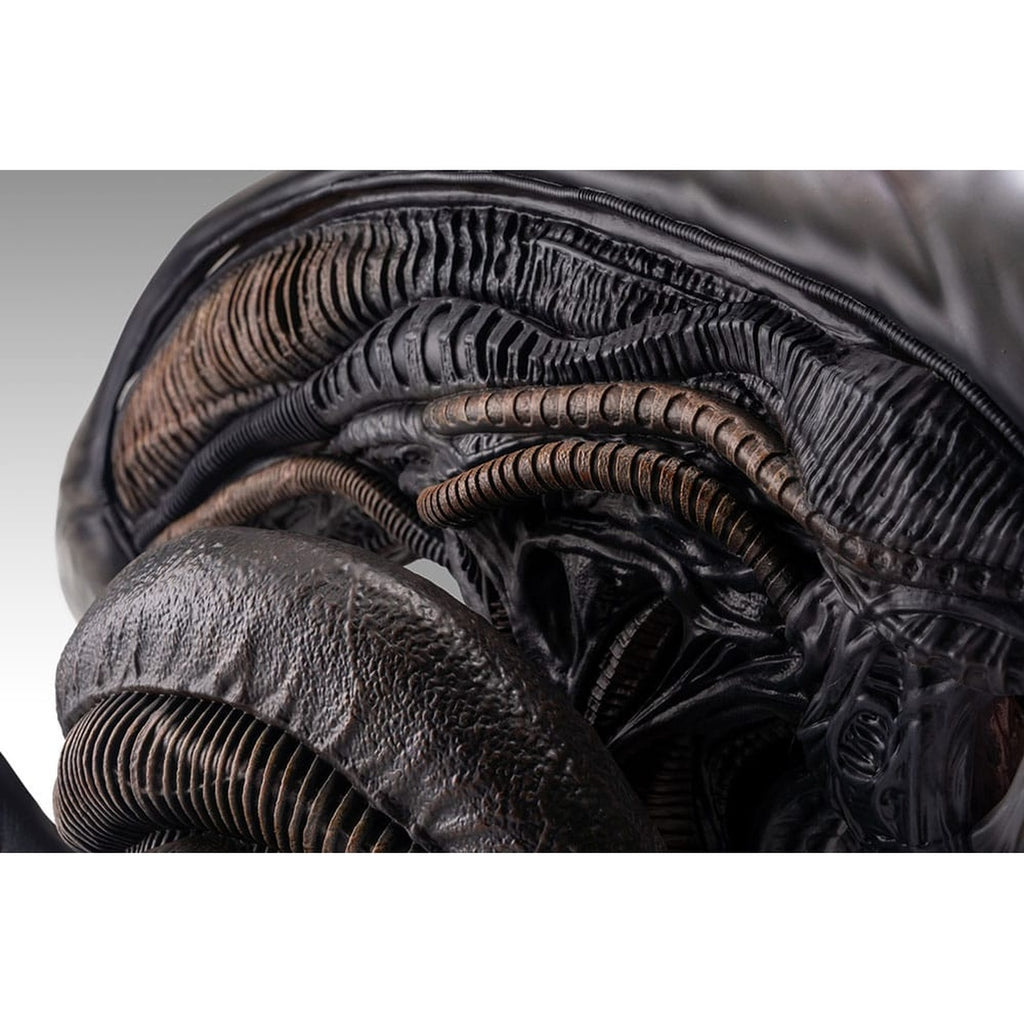 Zdjęcie produktu Alien Romulus Popiersie 1/1 Ksenomorf 53 cm