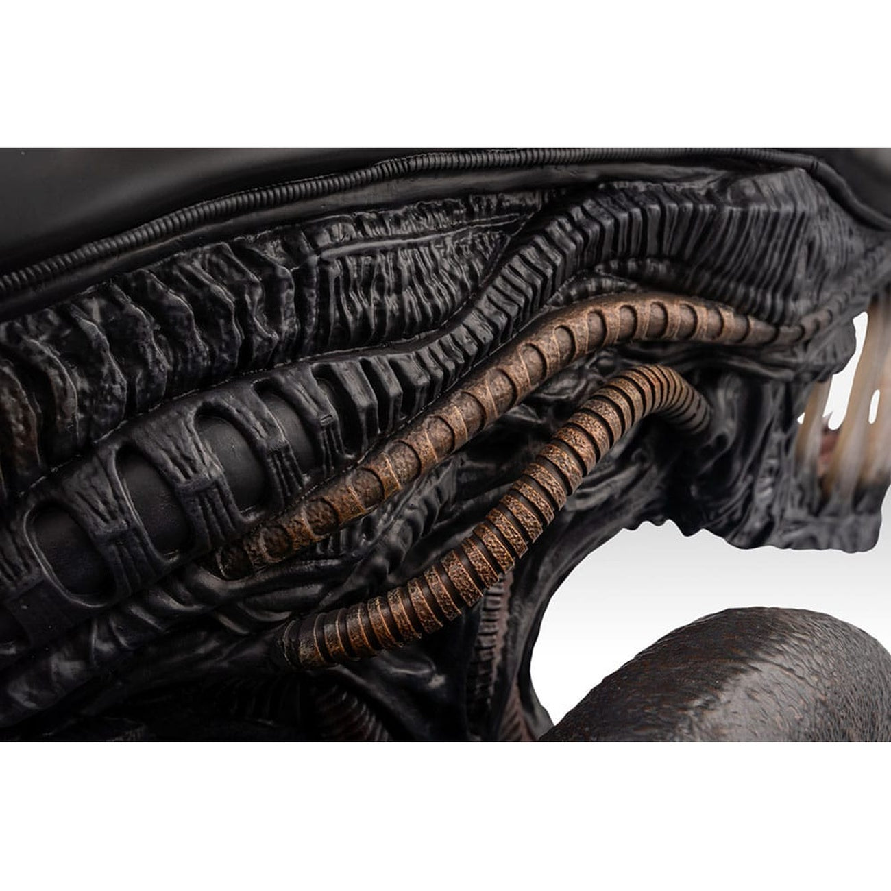 Zdjęcie produktu Alien Romulus Popiersie 1/1 Ksenomorf 53 cm