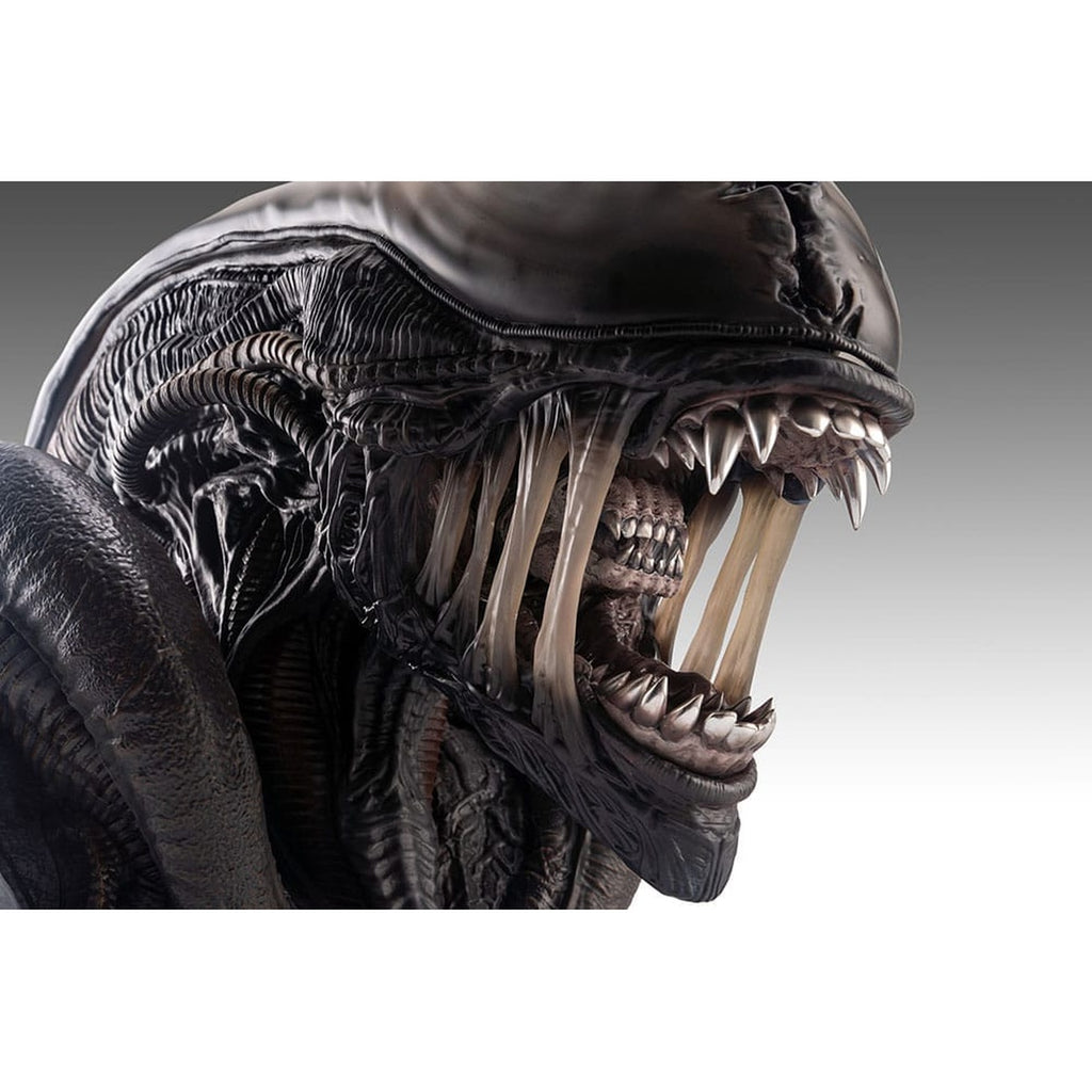Zdjęcie produktu Alien Romulus Popiersie 1/1 Ksenomorf 53 cm