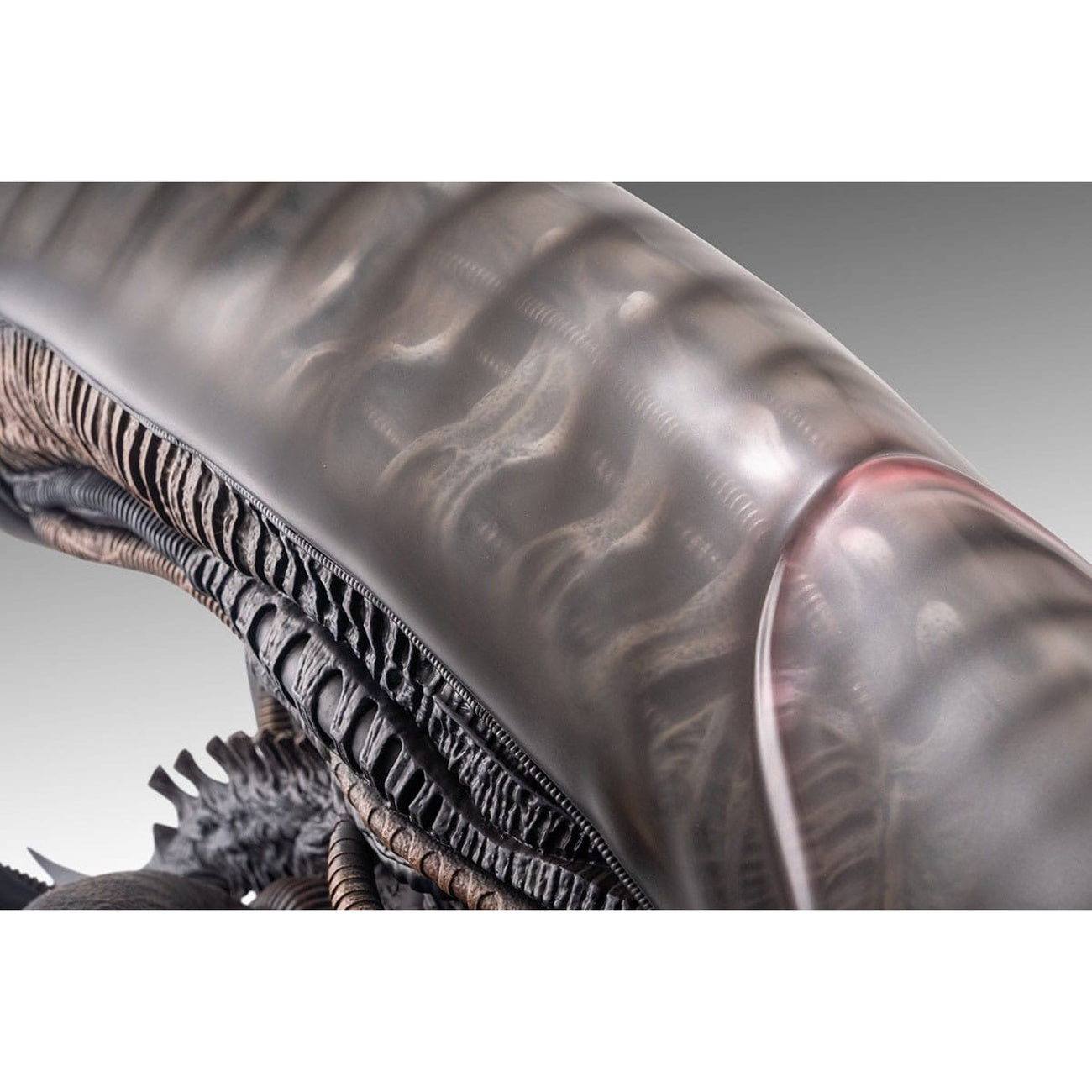 Zdjęcie produktu Alien Romulus Popiersie 1/1 Ksenomorf 53 cm