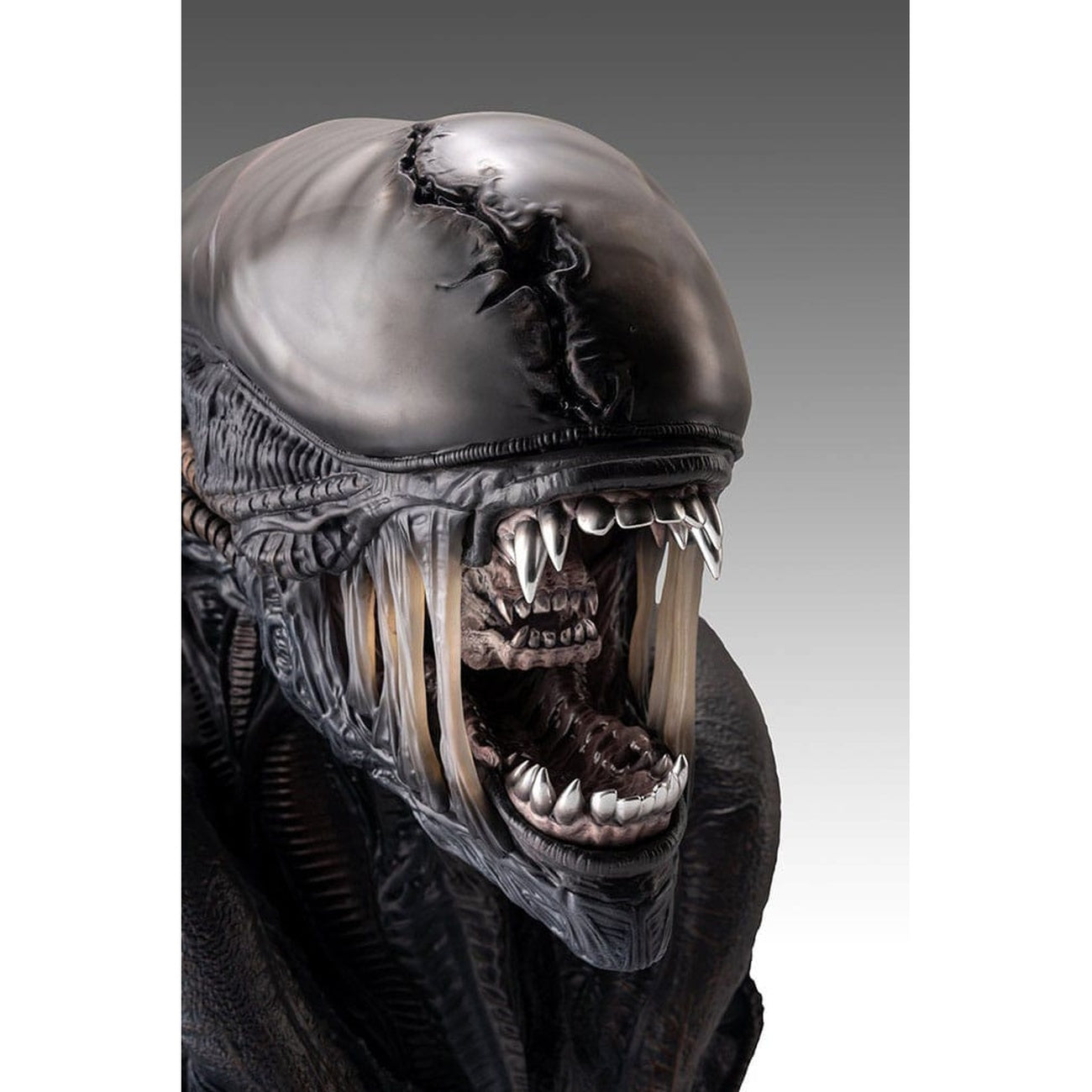 Zdjęcie produktu Alien Romulus Popiersie 1/1 Ksenomorf 53 cm