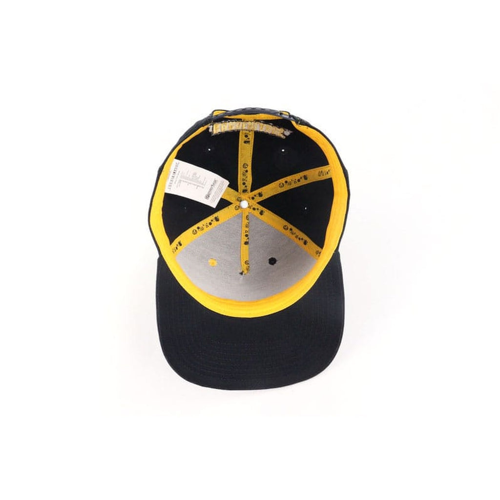 Product image Borderlands Snapback Cap Vault Icon Spray