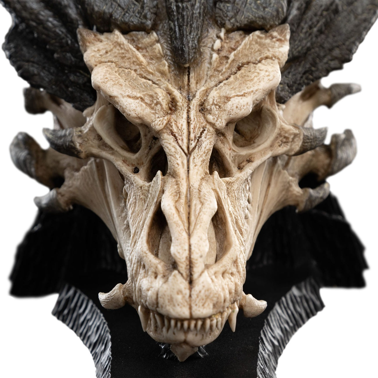 Zdjęcie produktu Władca Pierścieni Mini figurka Skull of Smaug 22 cm