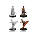 Zdjęcie produktu D&D Nolzur's Marvelous Miniatures Niepomalowane figurki Male Half-Elf Monk Karton zbiorczy (6)