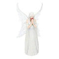 Zdjęcie produktu Anne Stokes Statue Only Love Remains 26 cm