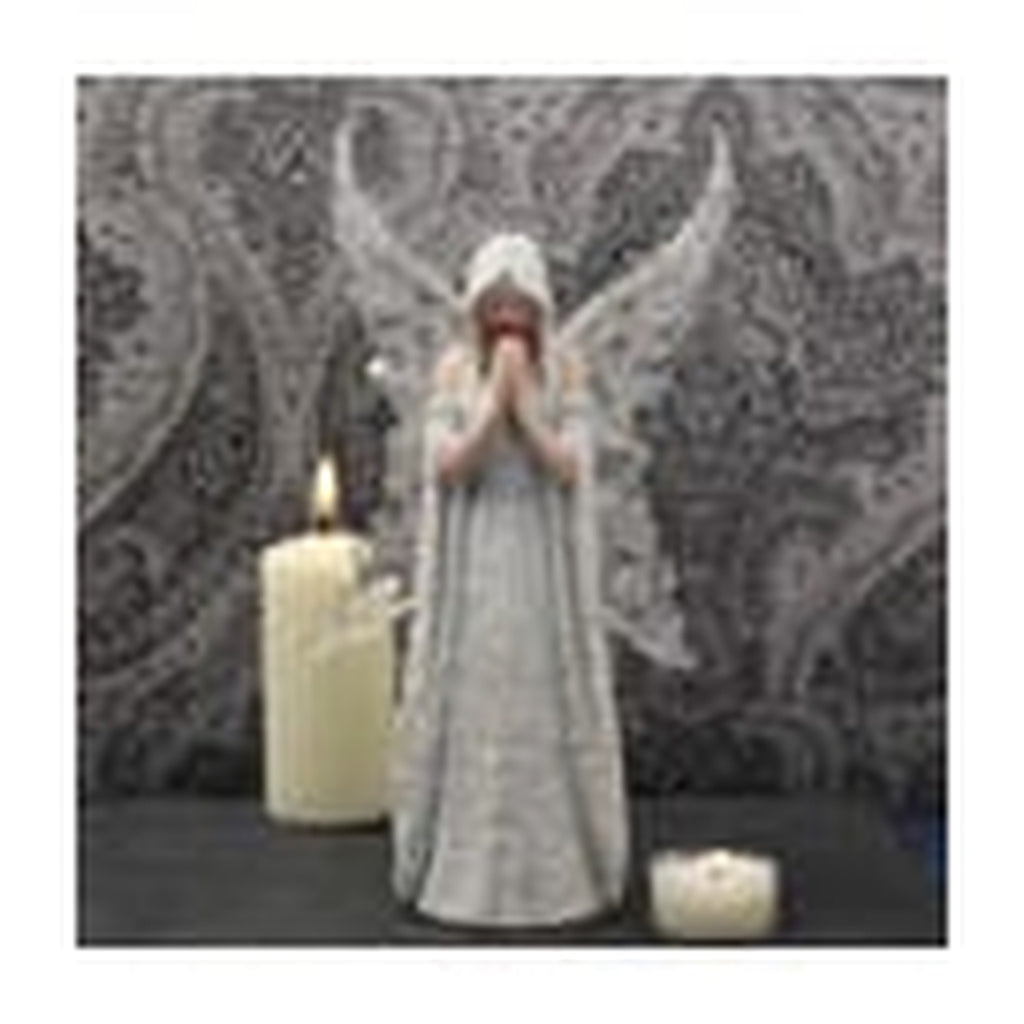 Zdjęcie produktu Anne Stokes Statue Only Love Remains 26 cm