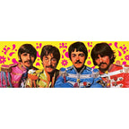 Zdjęcie produktu The Beatles Karty do gry Green Version