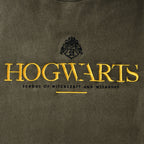 Zdjęcie produktu Harry Potter - koszulka oversize Hogwarts
