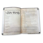 Zdjęcie produktu Notes A5 Player's Journal Szałwiowa Zieleń Shield