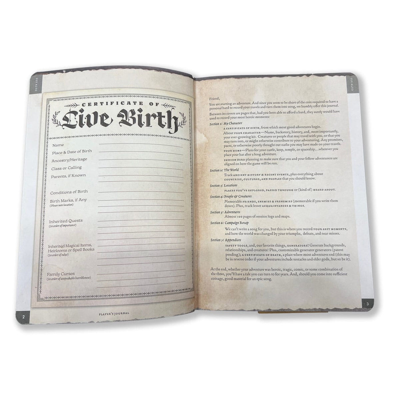 Zdjęcie produktu Notes A5 Player's Journal Szałwiowa Zieleń Shield