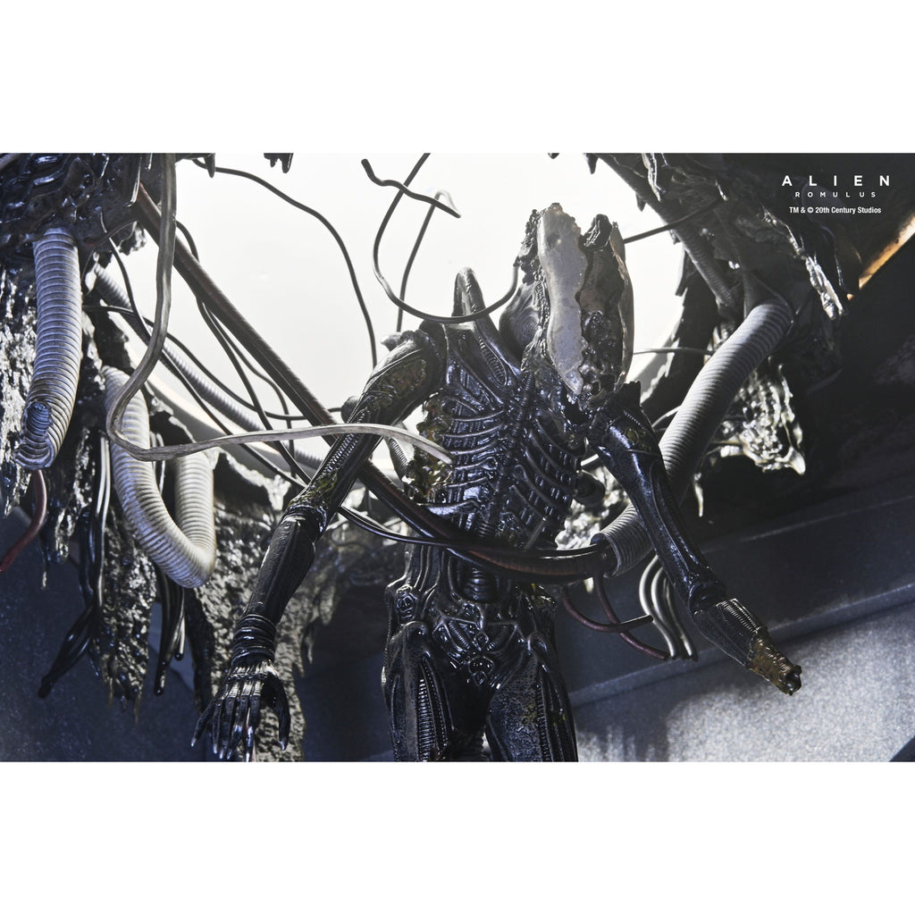 Zdjęcie produktu Alien: Romulus Figurka Akcji Deluxe Suspended Lab Xenomorph