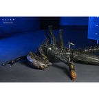 Zdjęcie produktu Alien: Romulus Figurka Akcji Deluxe Suspended Lab Xenomorph
