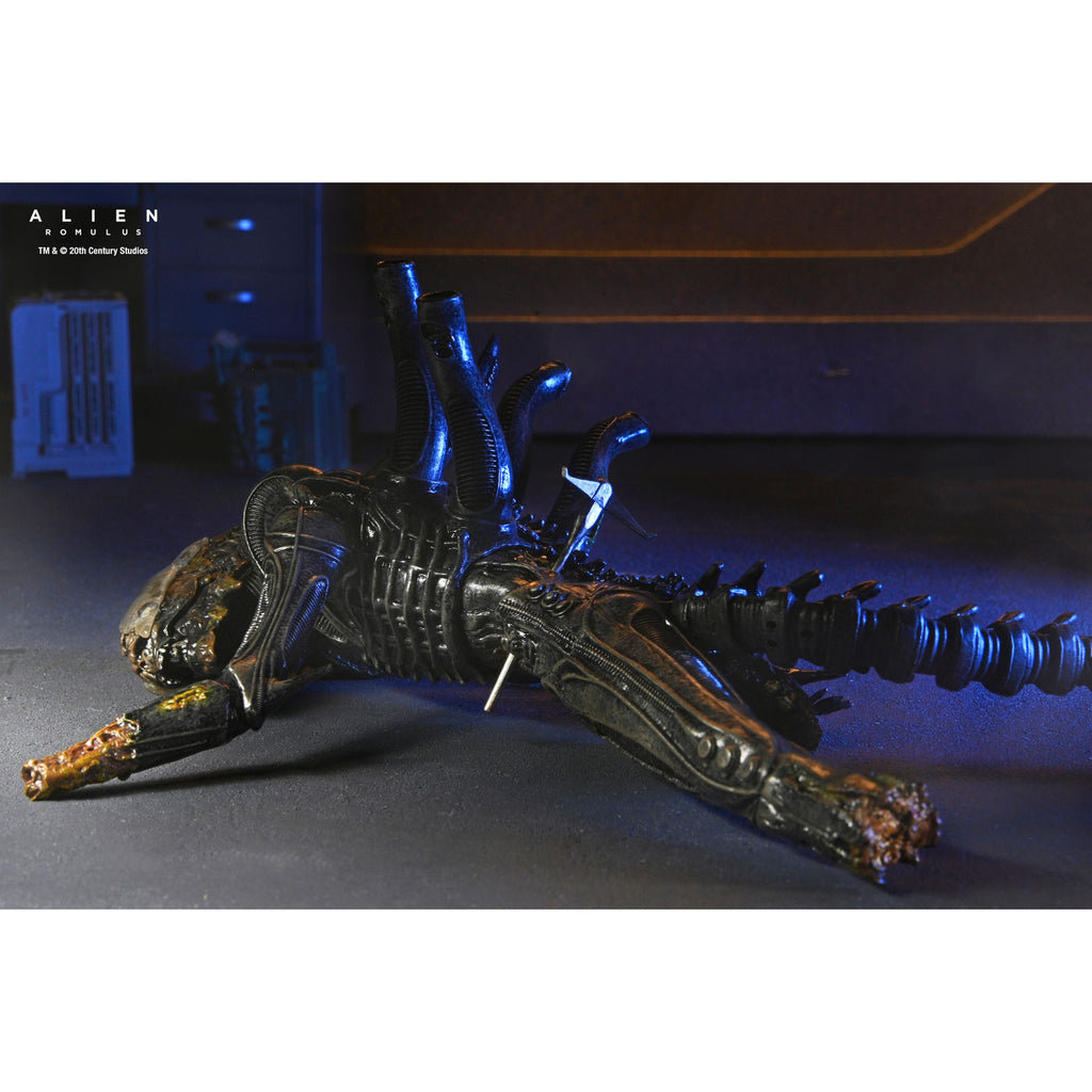Zdjęcie produktu Alien: Romulus Figurka Akcji Deluxe Suspended Lab Xenomorph