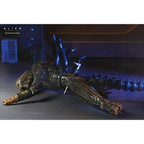 Zdjęcie produktu Alien: Romulus Figurka Akcji Deluxe Suspended Lab Xenomorph